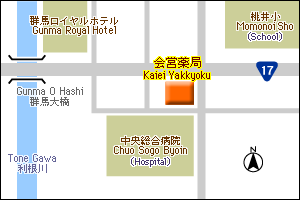 Maebashi Pharmaceutical Association-Kaiei Pharmacy
